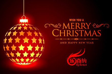 Joyeux Noel et bonne année!